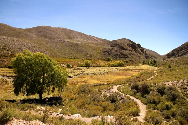 Landskapet i jujuy — Stockfoto